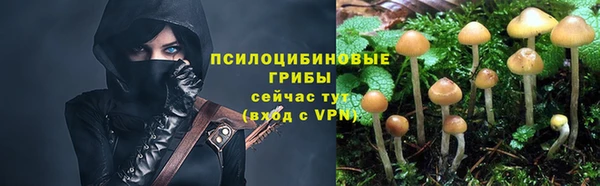 шишки Алексин