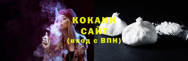 шишки Алексин