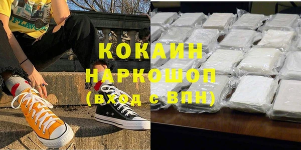 шишки Алексин