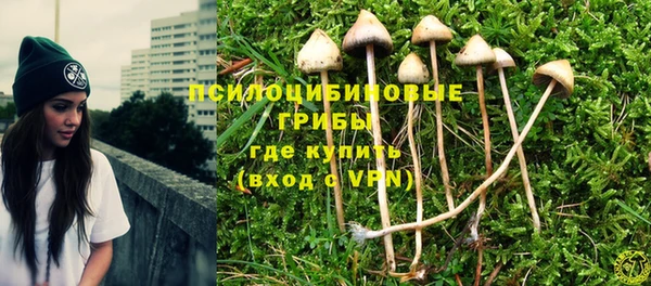 шишки Алексин