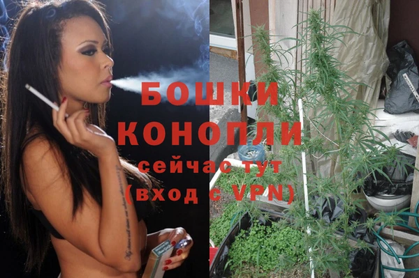 каннабис Алзамай