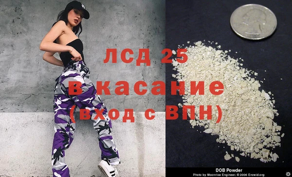 шишки Алексин