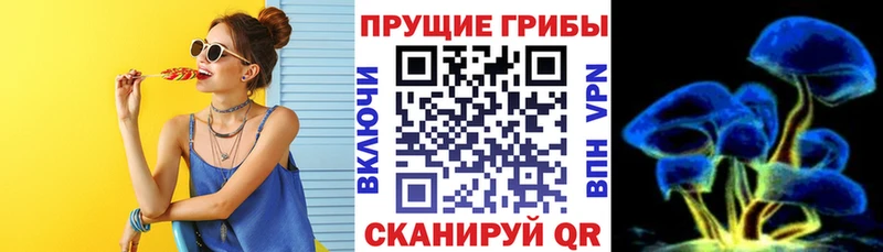 где можно купить   Тихвин  Галлюциногенные грибы Cubensis 